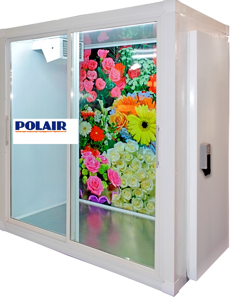 Холодильники для цветов купить в спб доставка цветов мамонтовка